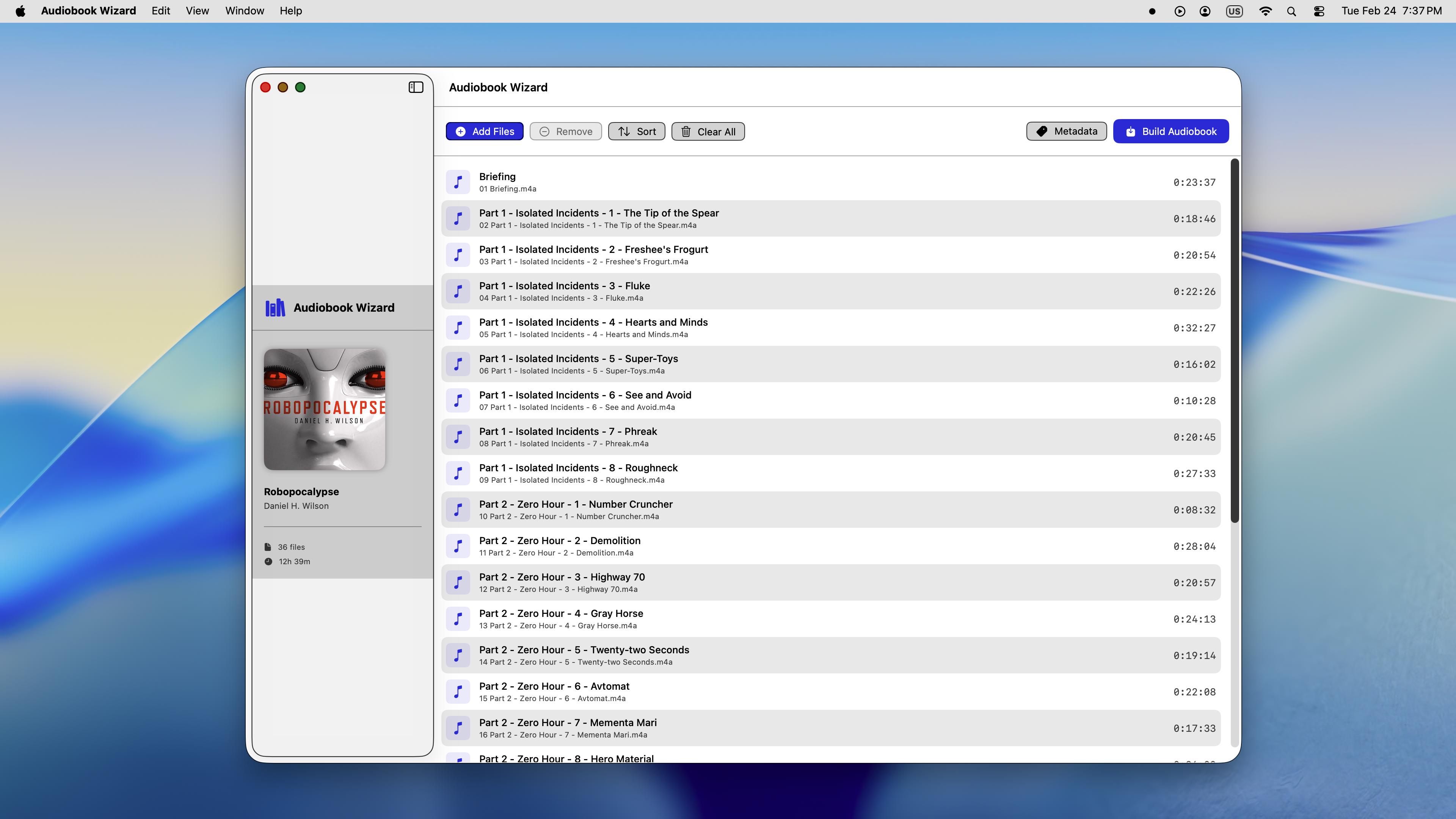 Audiobook Wizard Interface